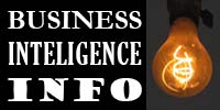 Business Intelligence Info Business Intelligence Info